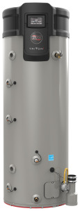 Triton Light Duty SS 50 Gal